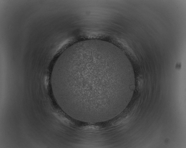 X0000096710691200802121225