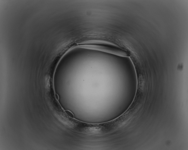 X0000096710692200802121225