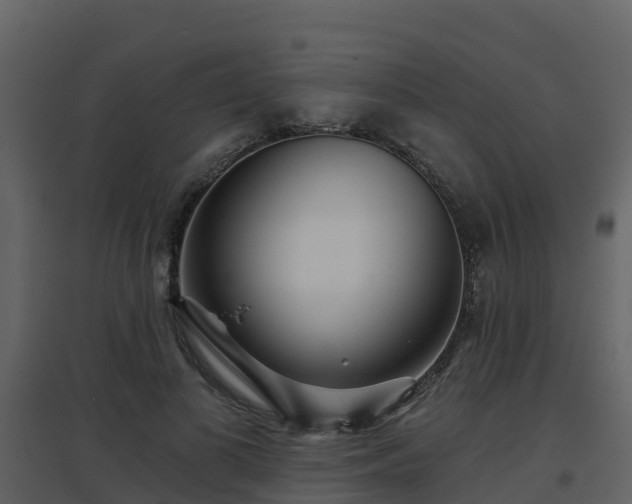 X0000096710693200802121225