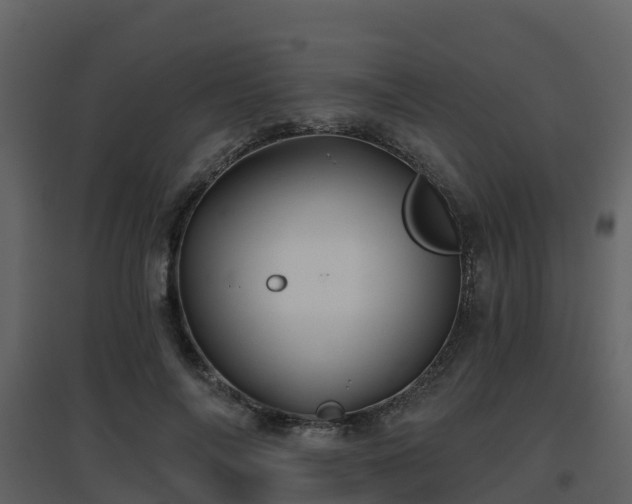 X0000096710694200802121225