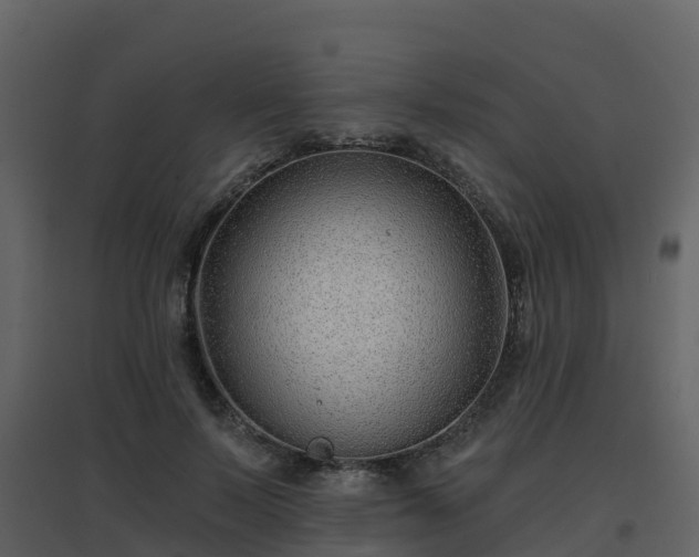 X0000096710695200802121225