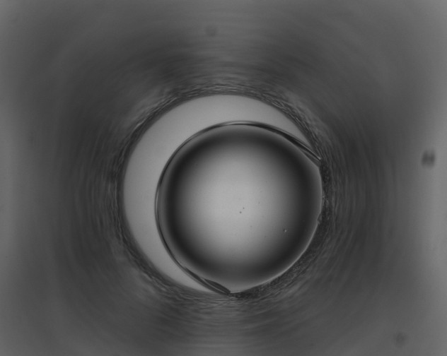 X0000096710696200802121225