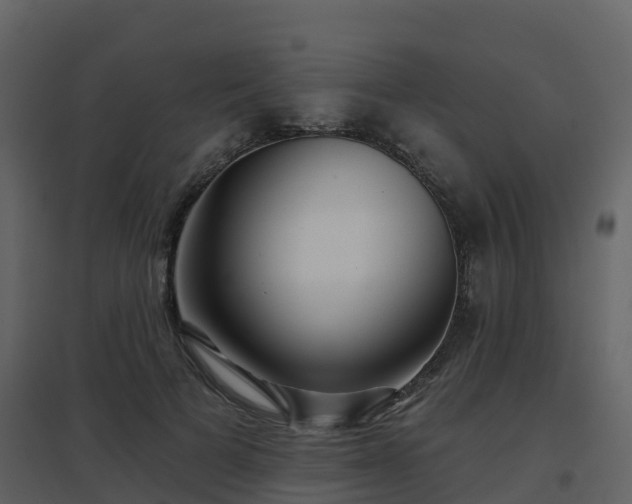 X0000096710697200802121225