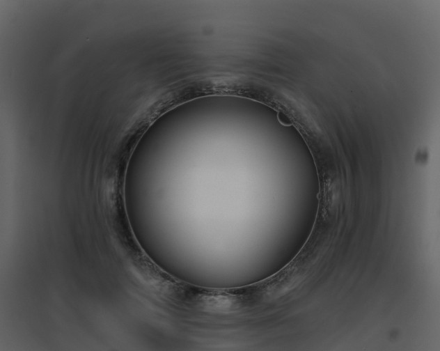 X0000096710698200802121225