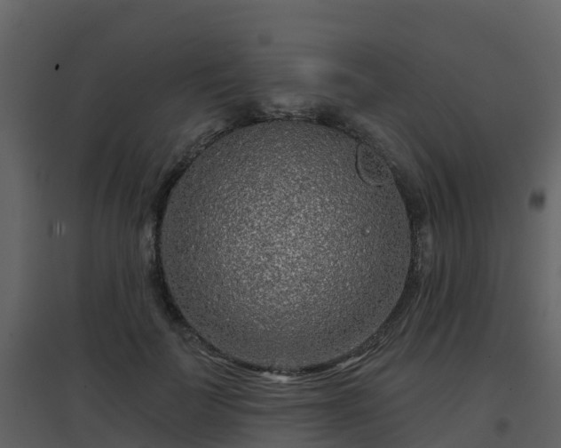 X0000096710699200802121225