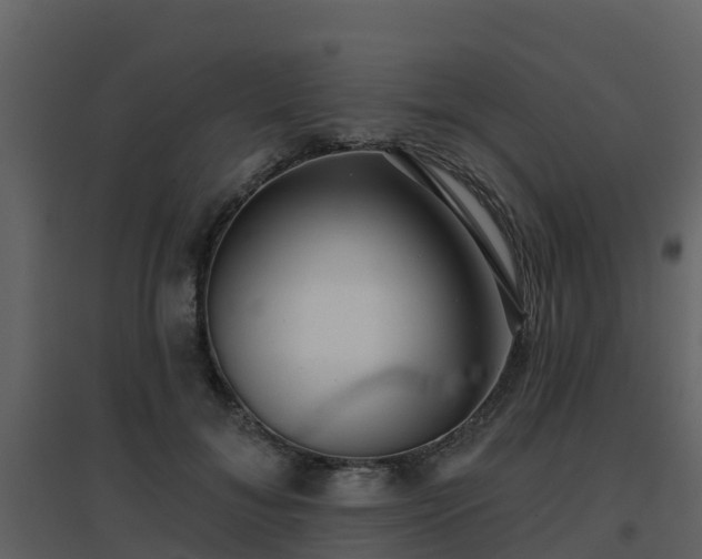 X0000096710700200802121225