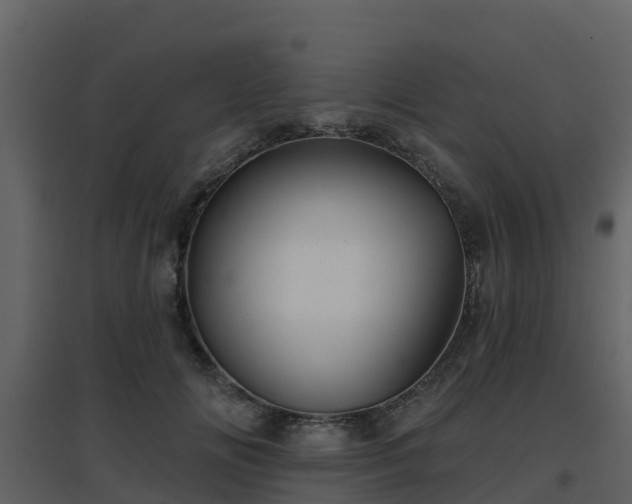 X0000096710702200802121225