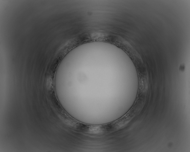 X0000096710705200802121225