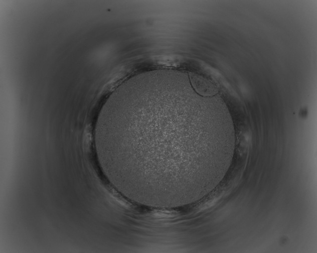 X0000096710707200802121225