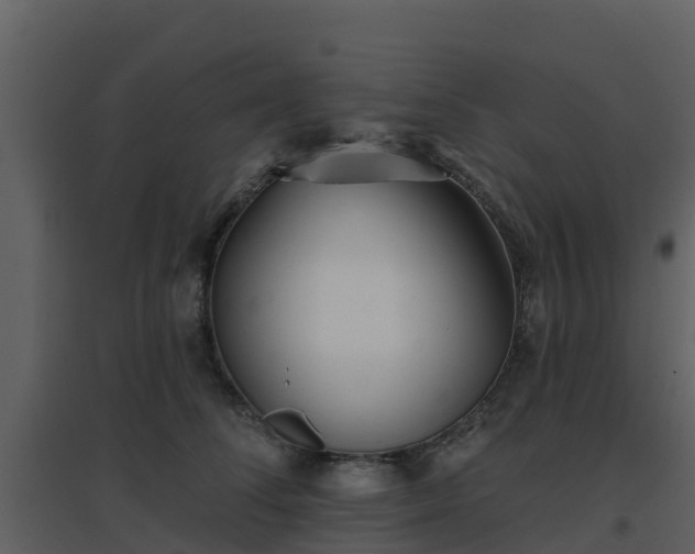 X0000096710708200802121225