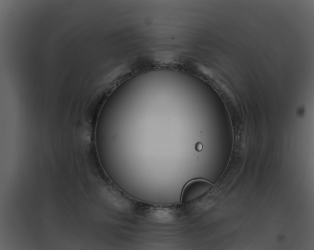 X0000096710710200802121225