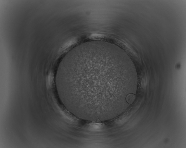 X0000096710711200802121225