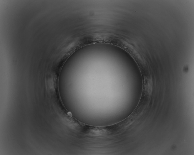 X0000096710712200802121225