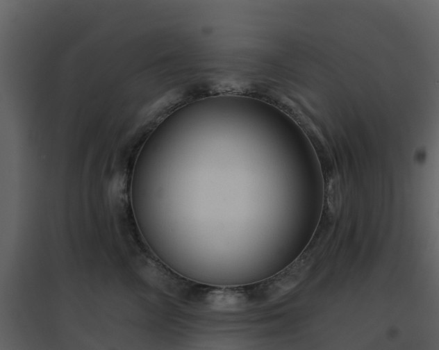 X0000096710714200802121225