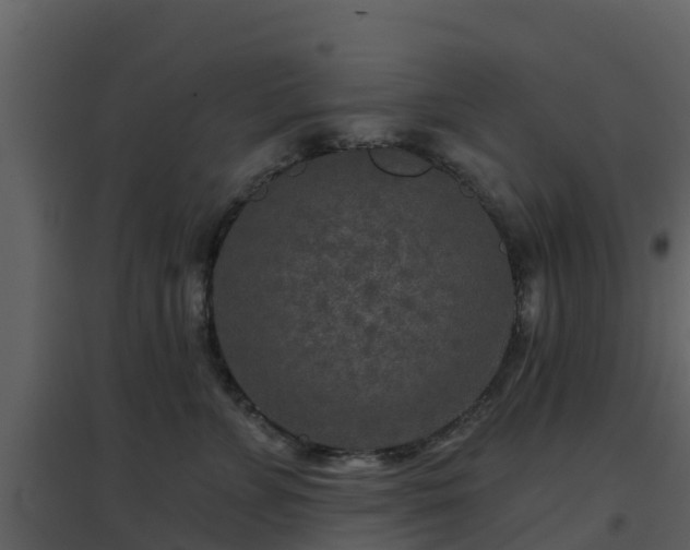 X0000096710715200802121225