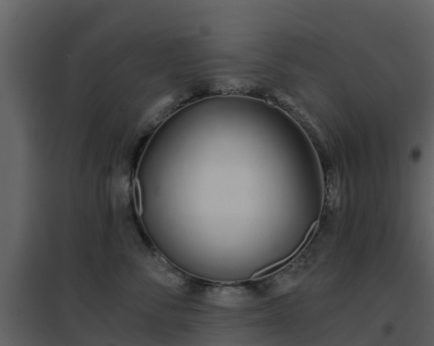 X0000096710716200802121225