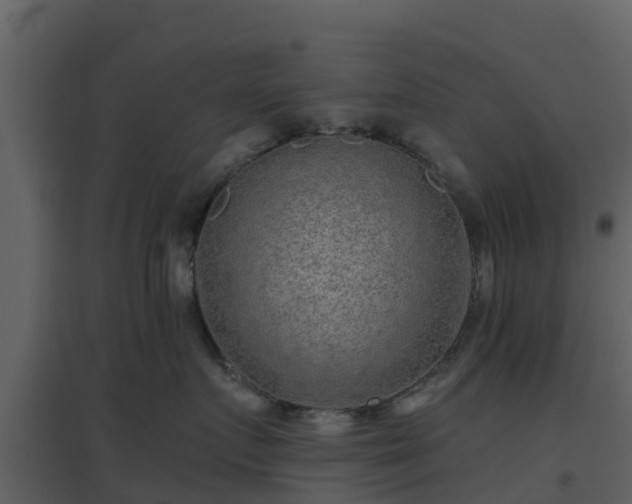 X0000096710719200802121225