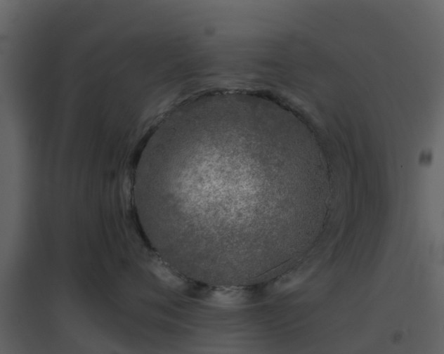 X0000096710720200802121225