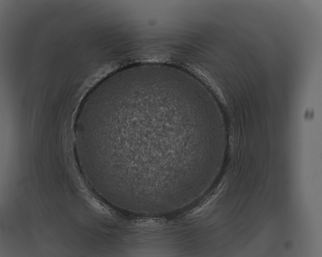 X0000096710721200802121224