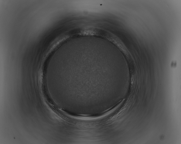 X0000096710722200802121224