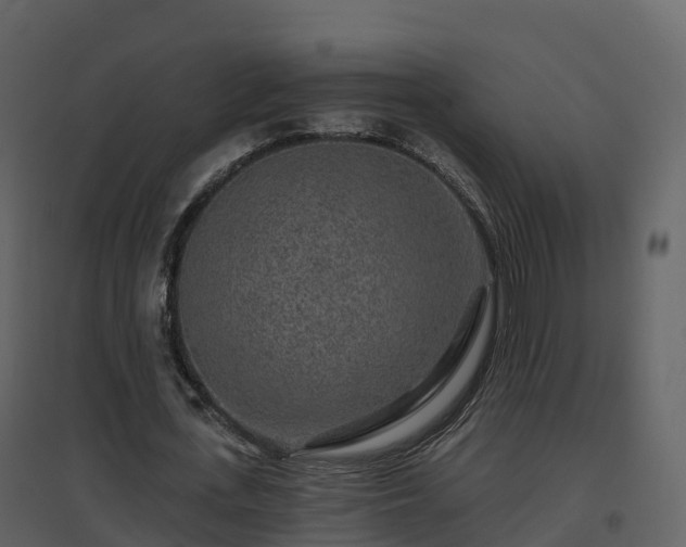 X0000096710723200802121224