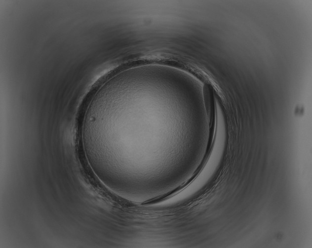 X0000096710724200802121224