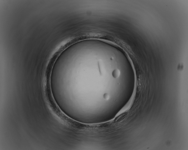 X0000096710726200802121224