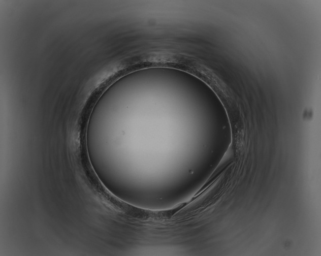 X0000096710727200802121224