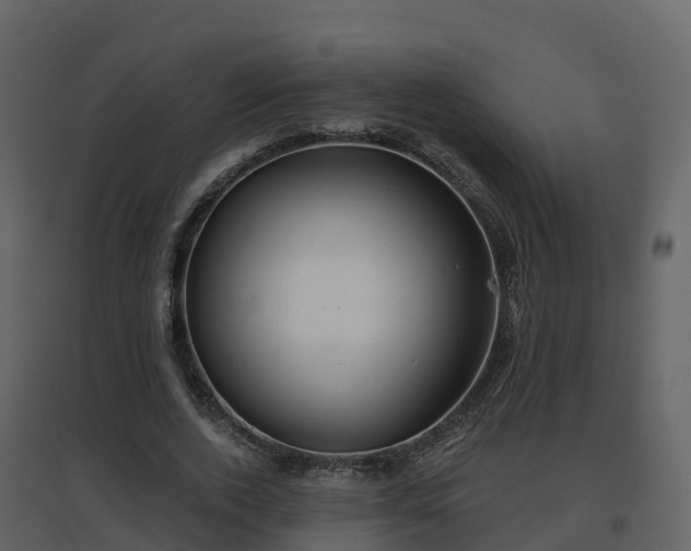 X0000096710728200802121224