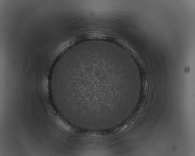 X0000096710729200802121224