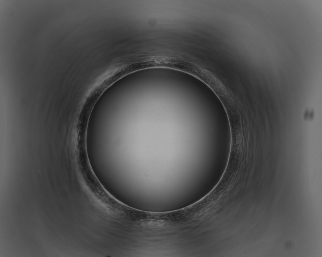 X0000096710730200802121224