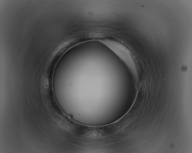 X0000096710731200802121224