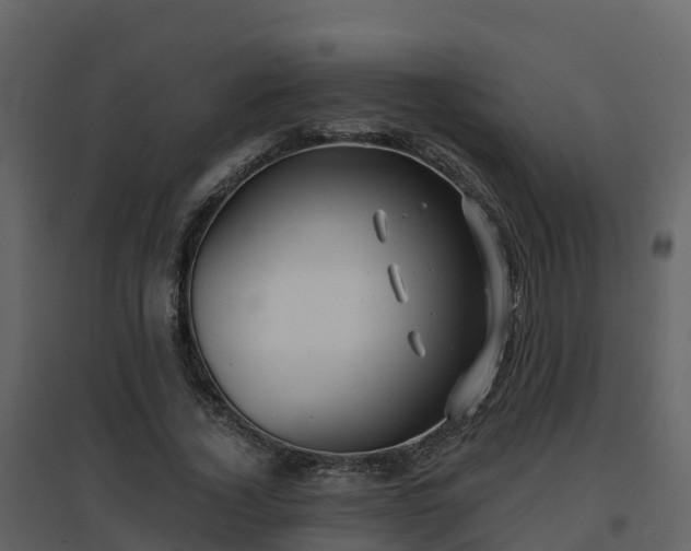 X0000096710732200802121224