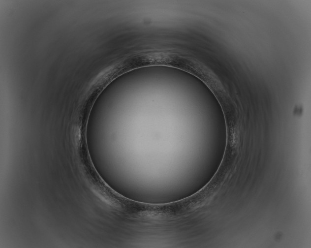 X0000096710733200802121225