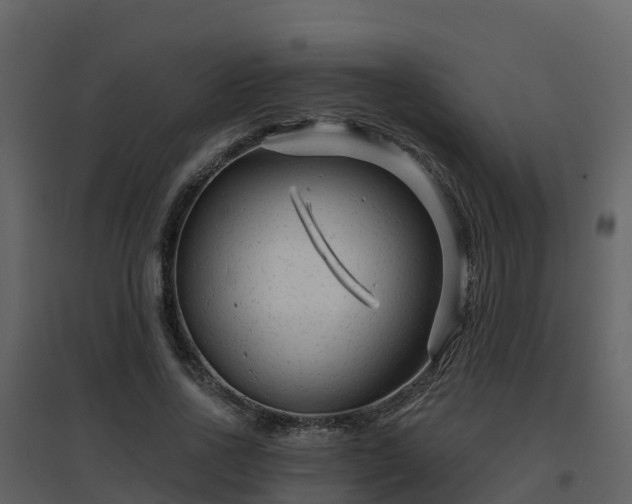 X0000096710734200802121225