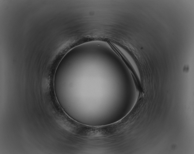 X0000096710735200802121225