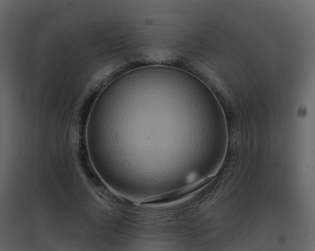 X0000096710736200802121225