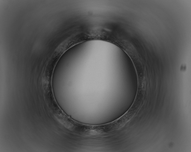 X0000096710737200802121225