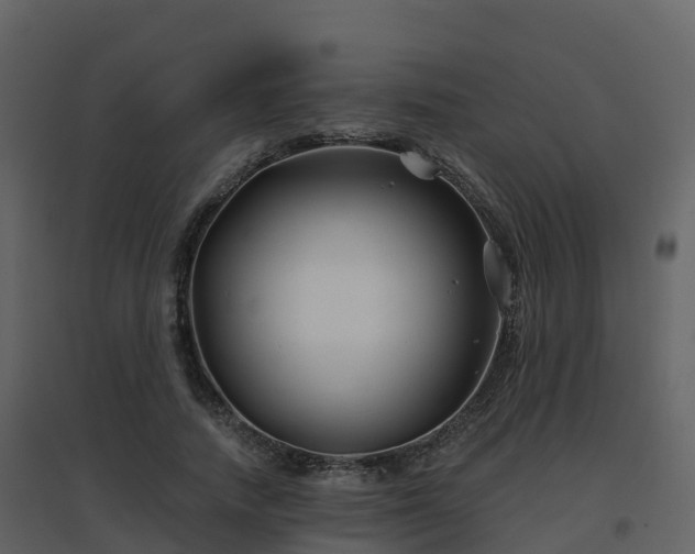 X0000096710738200802121225