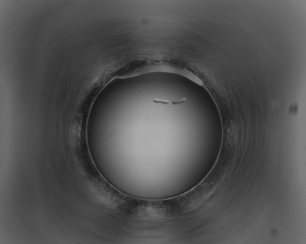 X0000096710739200802121225