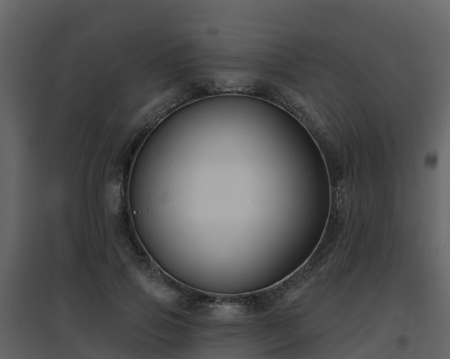 X0000096710741200802121225