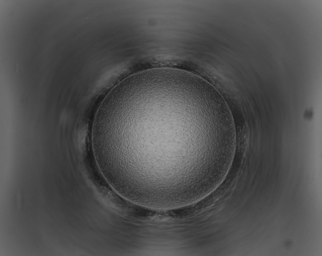 X0000096710742200802121225