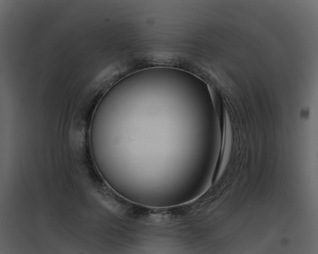 X0000096710744200802121225