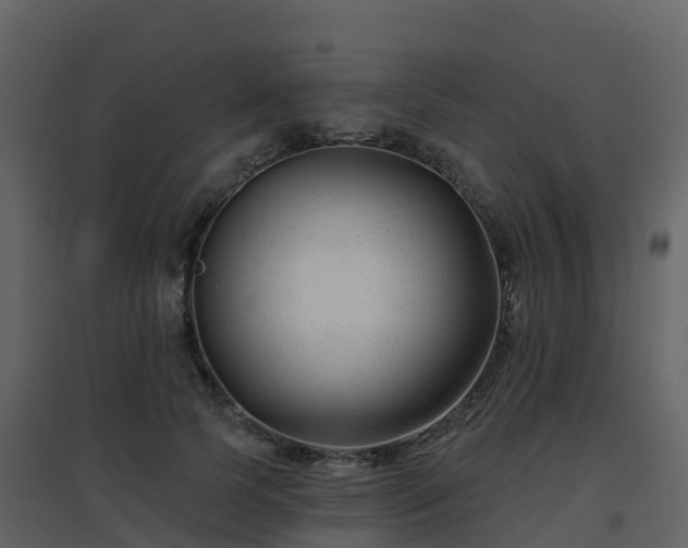 X0000096710745200802121225