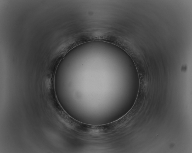 X0000096710746200802121225