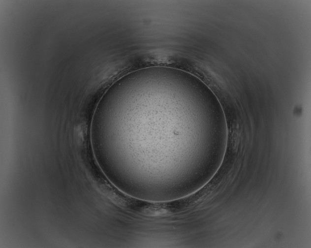 X0000096710747200802121225