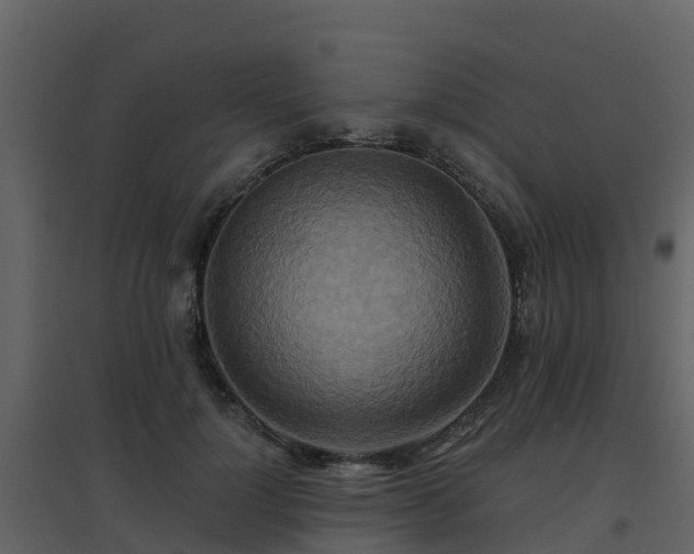 X0000096710748200802121225