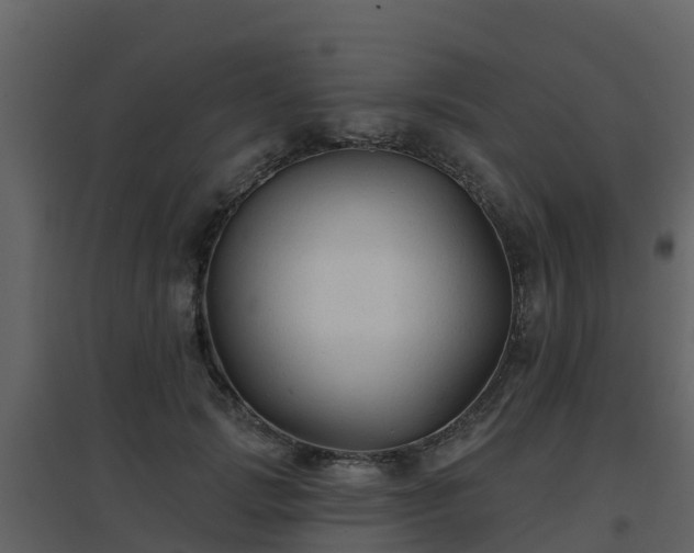 X0000096710749200802121225