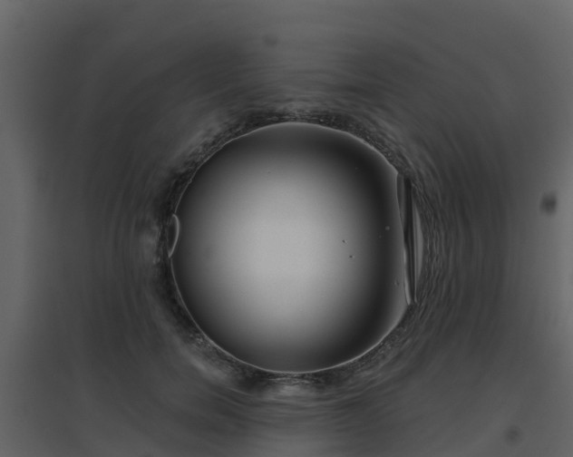 X0000096710750200802121225