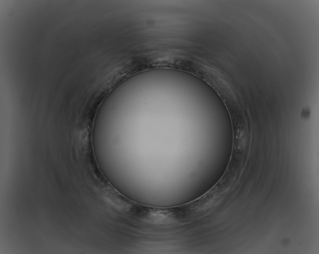 X0000096710753200802121225